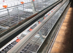 海林蛋鸡养殖饮水系统